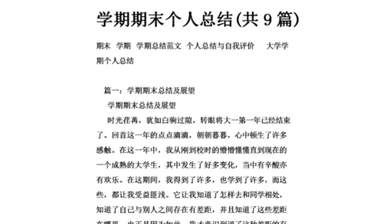 期末个人总结 