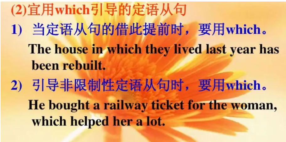 which引导什么从句 