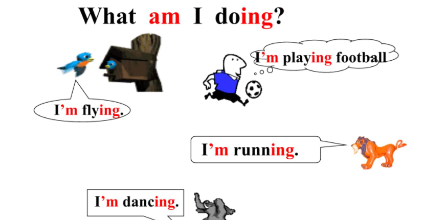 whatabout后面跟什么形式 