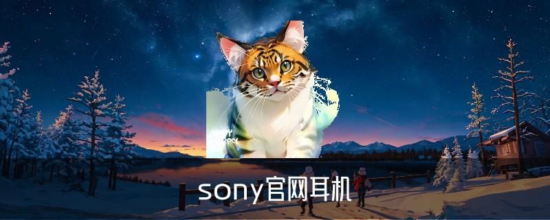 sony入门级耳机推荐，龚魍当下索尼性价比高的入耳式耳机 