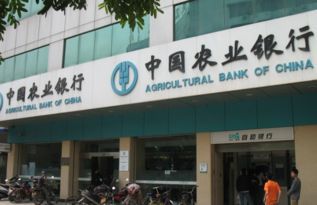 上海建设银行咨询电话:您的专属金融顾问在线等你! 上海建设银行咨询电话