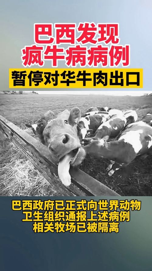 巴西现疯牛病病例